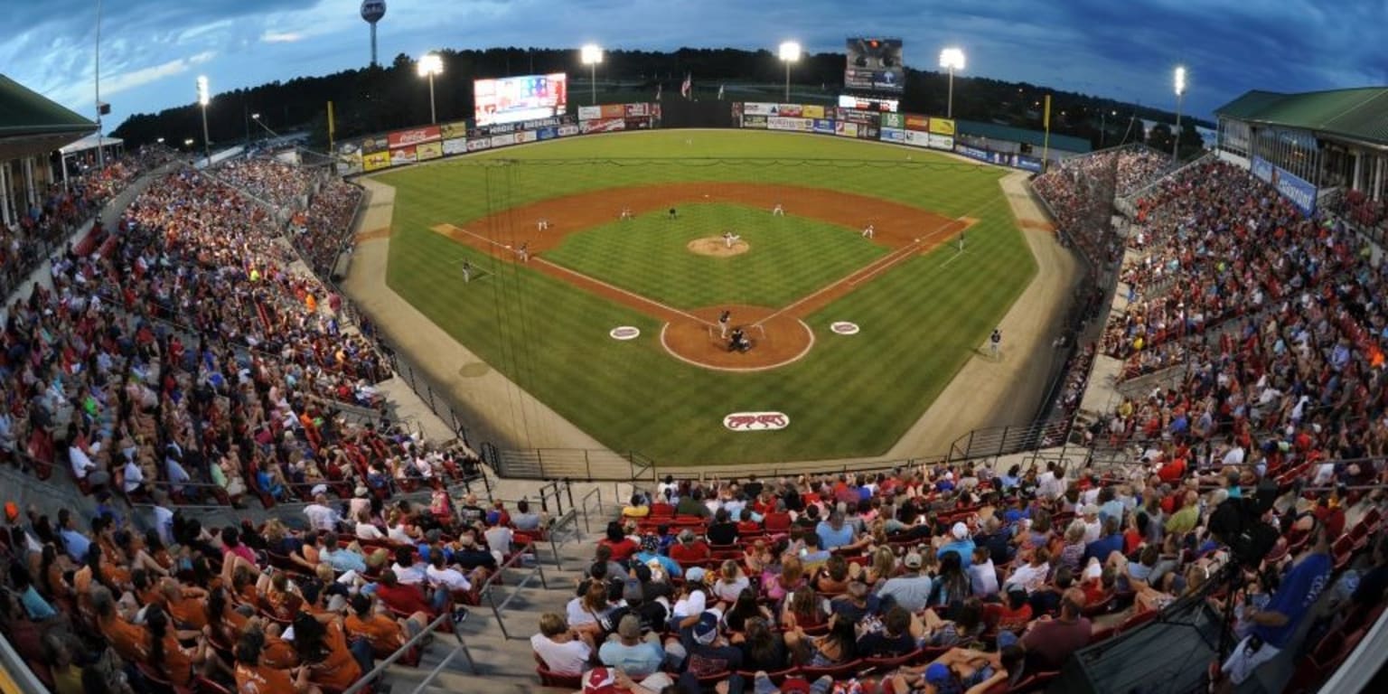 Carolina Mudcats on X: We're just over a week away from our road