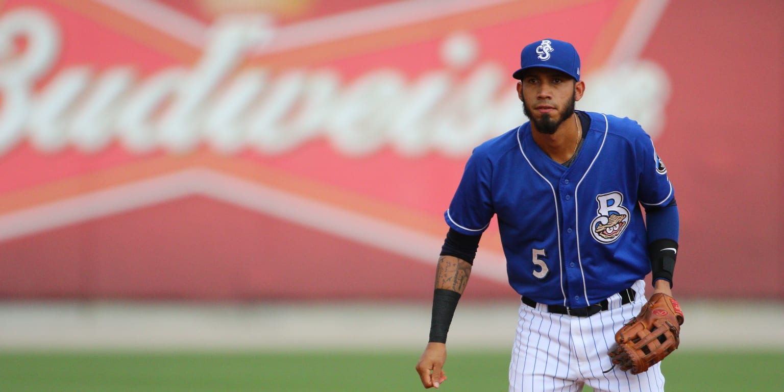 Noriega Returns To Shuckers From Triple-a Skysox 