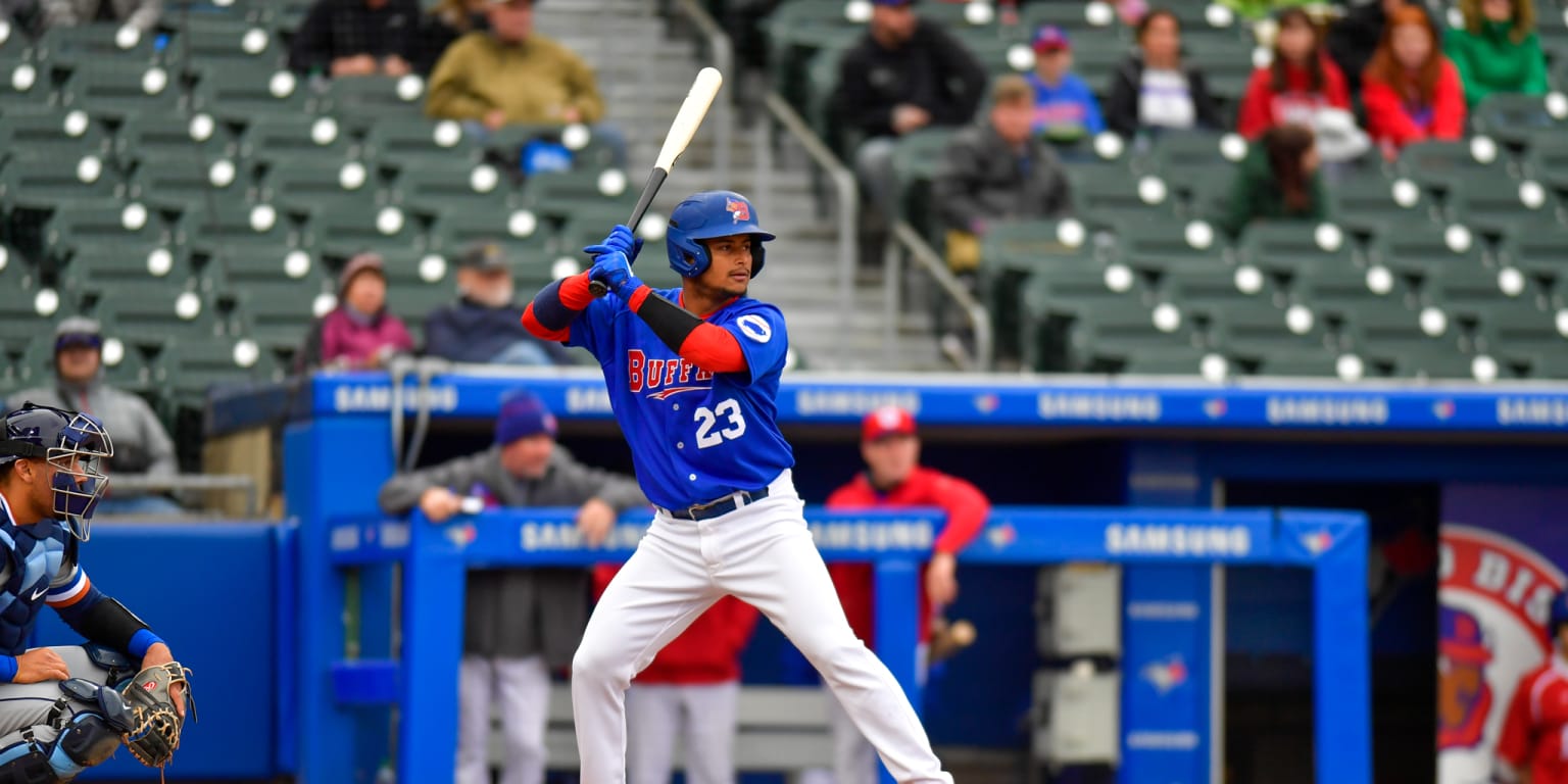 Toronto Blue Jays Danny Jansen joins Buffalo Bisons for injury