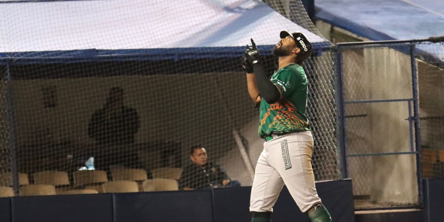 Guerreros: Del brazo de Negrín, Leones gana el primero de la serie |  Mexican League