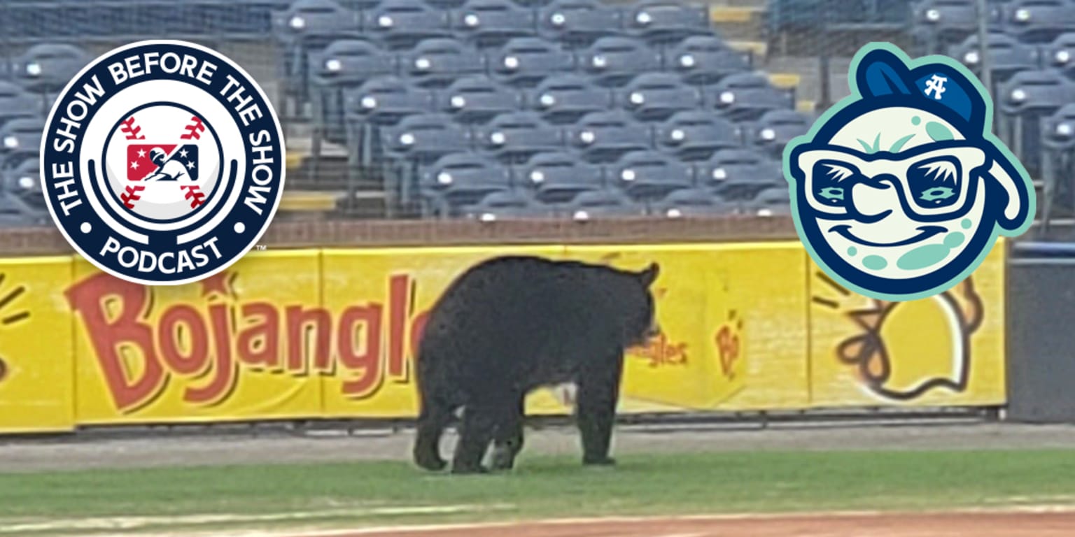 Want to be an Asheville Tourists mascot? The team is hiring.