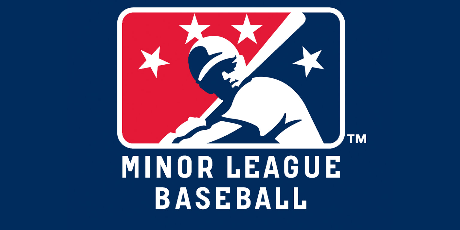 Minor League Baseball cancels 2020 season; here's what it means