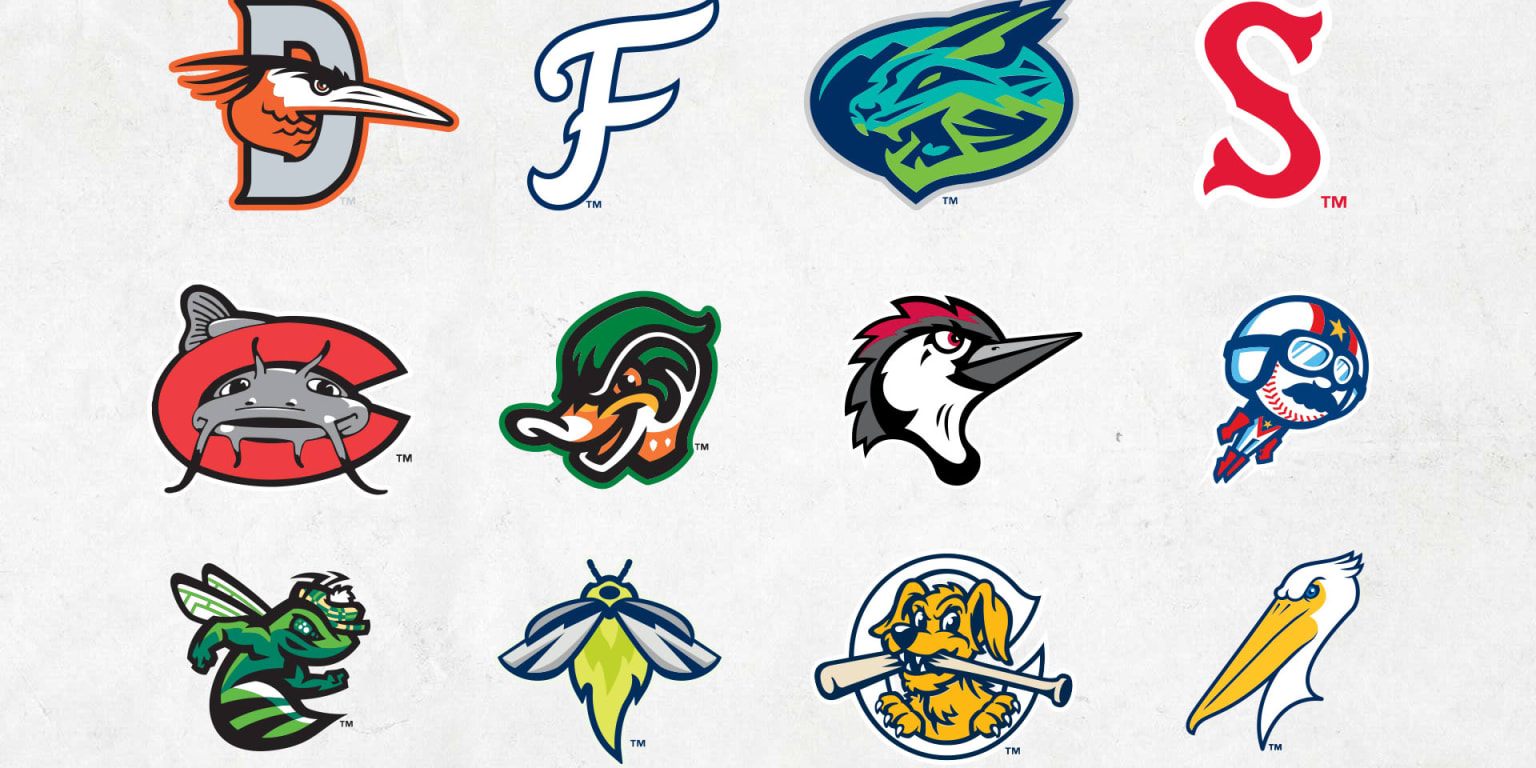Sidewalk Realm conjunction Get to know the Minor League teams in the Low-A East | MiLB.com