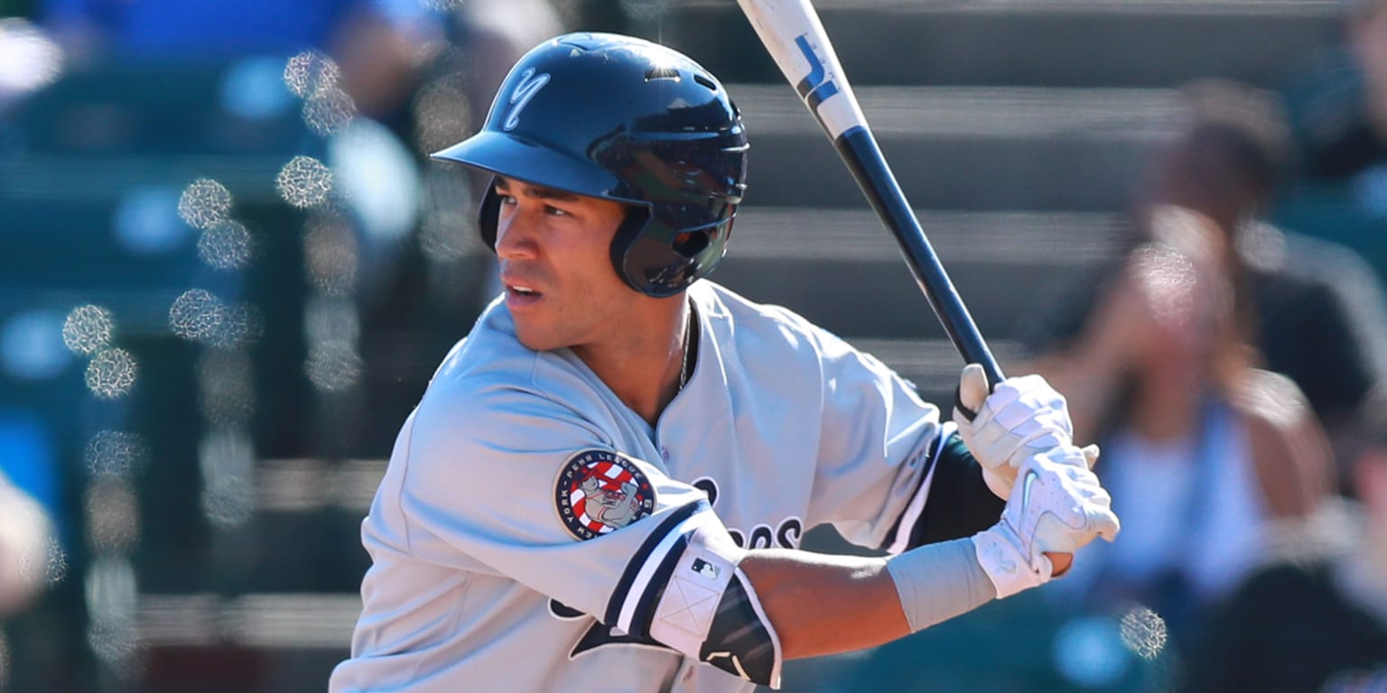 New York Yankees outfield prospect Dom ThompsonWilliams continues homer binge for Charleston