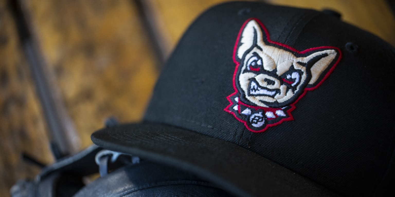 Chihuahuas honored with Baseball America's Triple-A Freitas Award