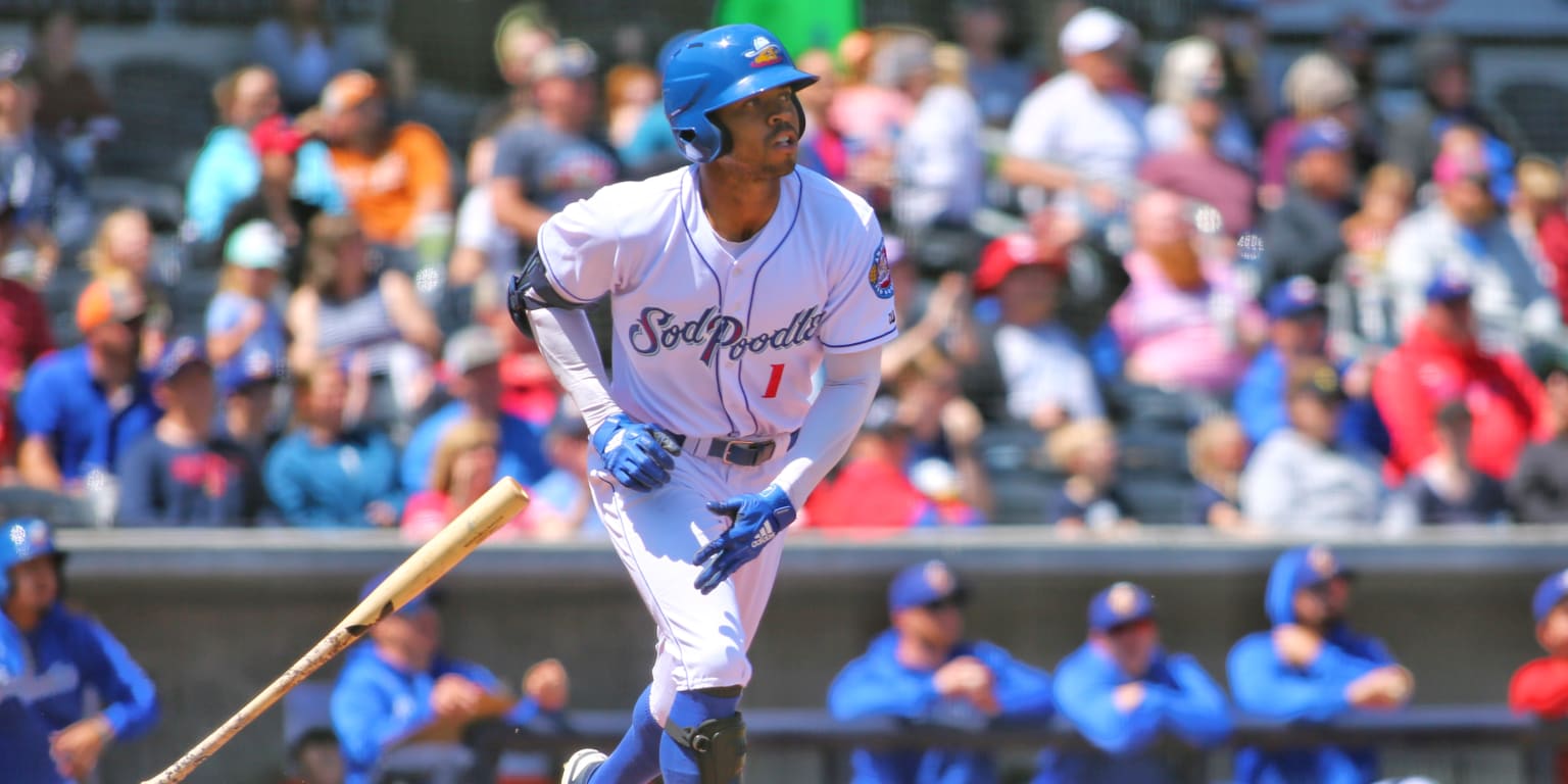 Sod Poodles drop game two in Corpus Christi Hooks series