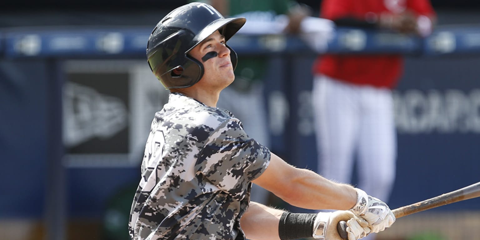 St. Lucie Mets set single-season home attendance record, fall to Tampa  Yankees