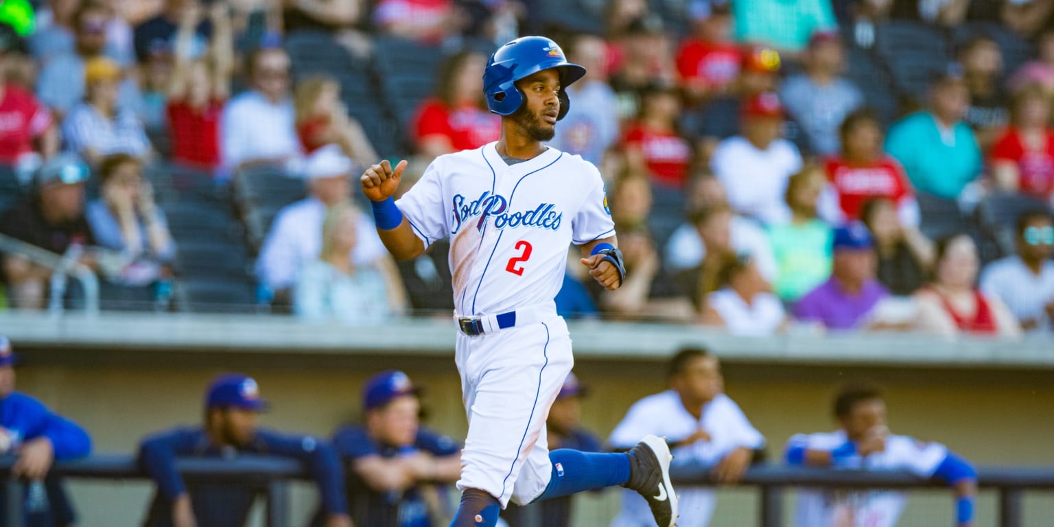 Hooks face Amarillo Sod Poodles