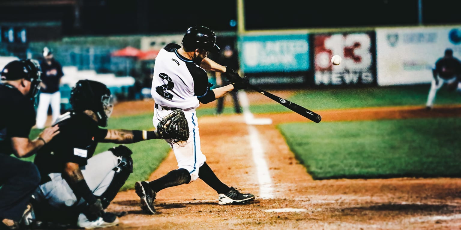 FerryHawks add former Major Leaguer, top prospect to active roster