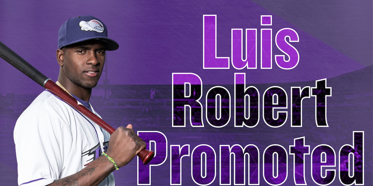 White Sox prospect watch: Luis Robert - Chicago Sun-Times