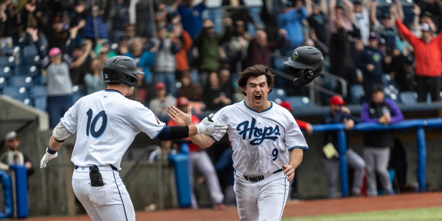 Take me out to the ball game! Hillsboro Hops are back 