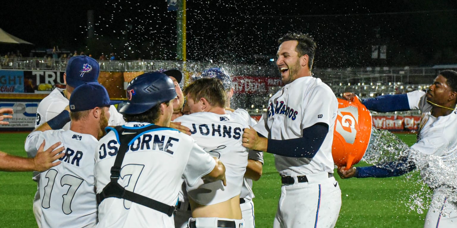 Pensacola fired up for the arrival of Double-A baseball, Blue Wahoos 