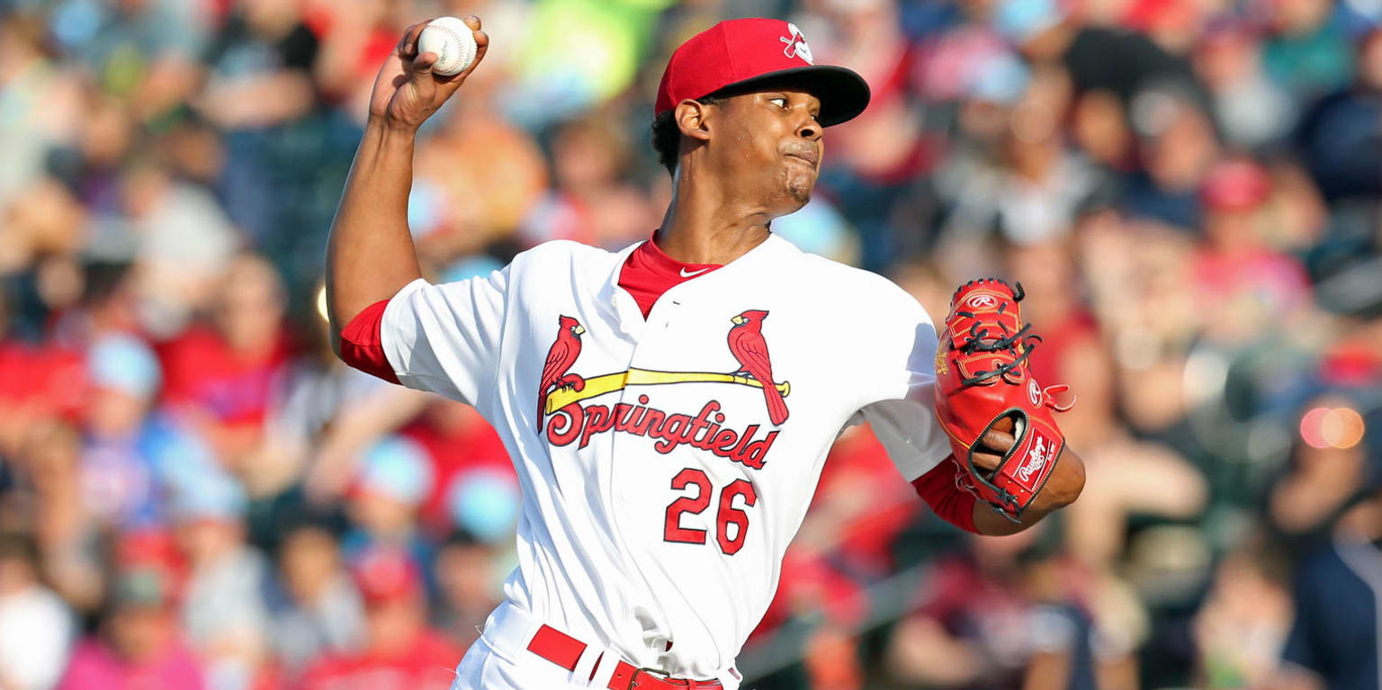 St. Louis Cardinals&#39; Reyes has season-ending lat surgery | www.bagssaleusa.com