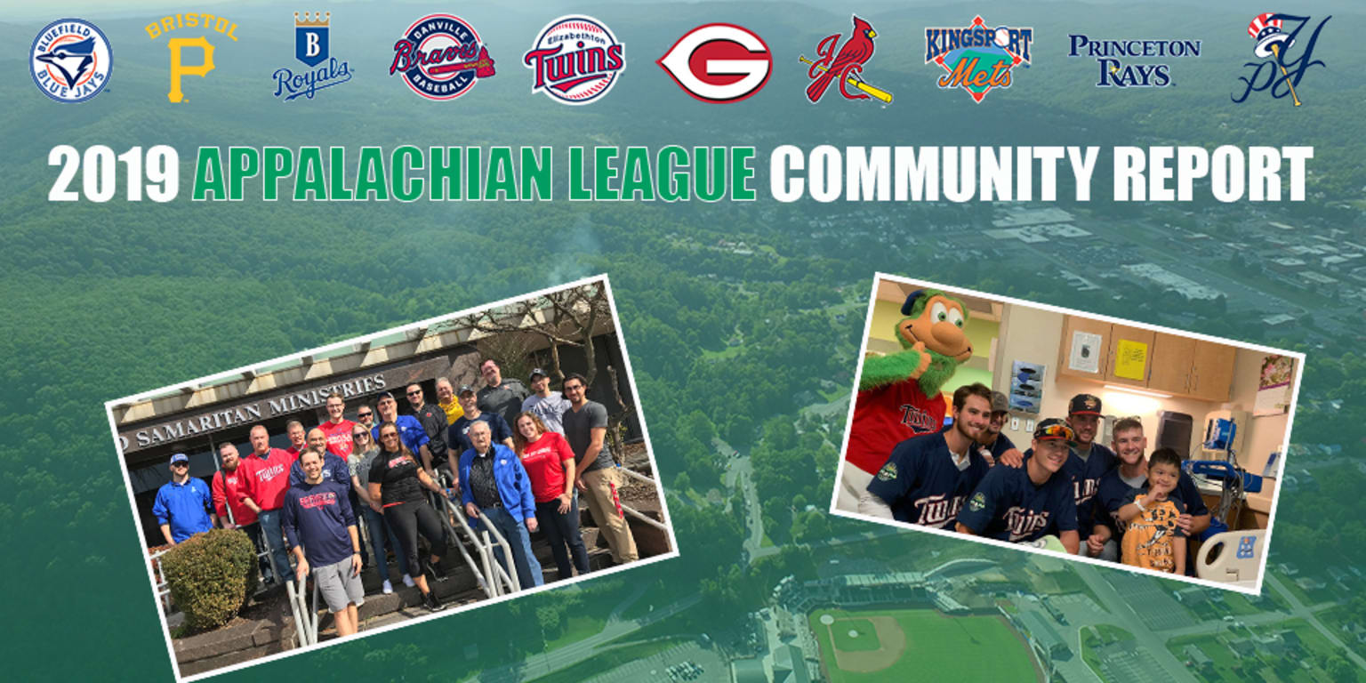 Appalachian League releases 2019 community report