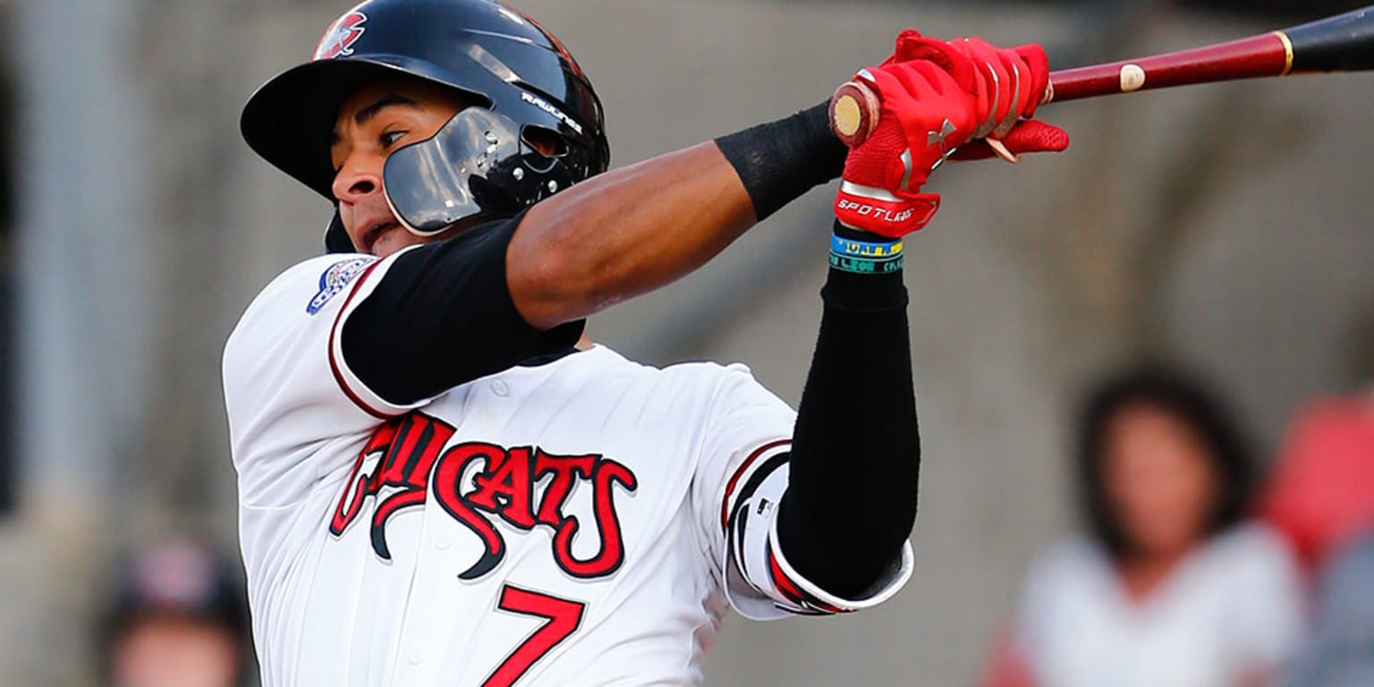 Milwaukee Brewers' Jake Gatewood raising his game