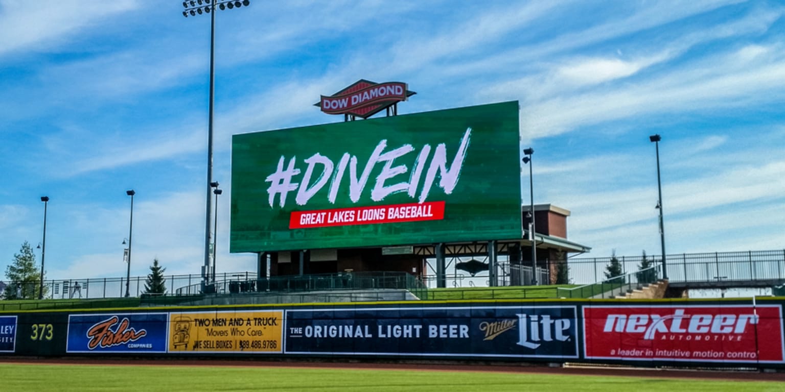 New Video Board Successfully Installed Loons