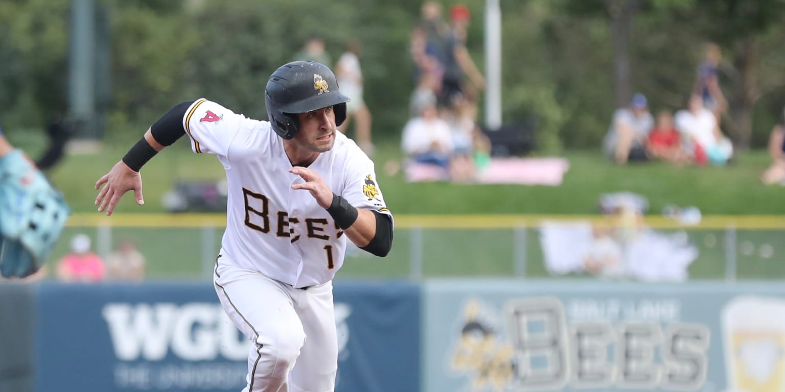 River Cats Claw To Victory Over Bees