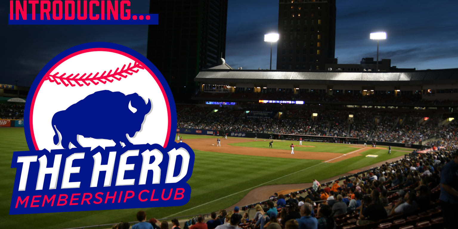 Bisons unveil new 'Game of the Month' membership club 'The Herd' Bisons