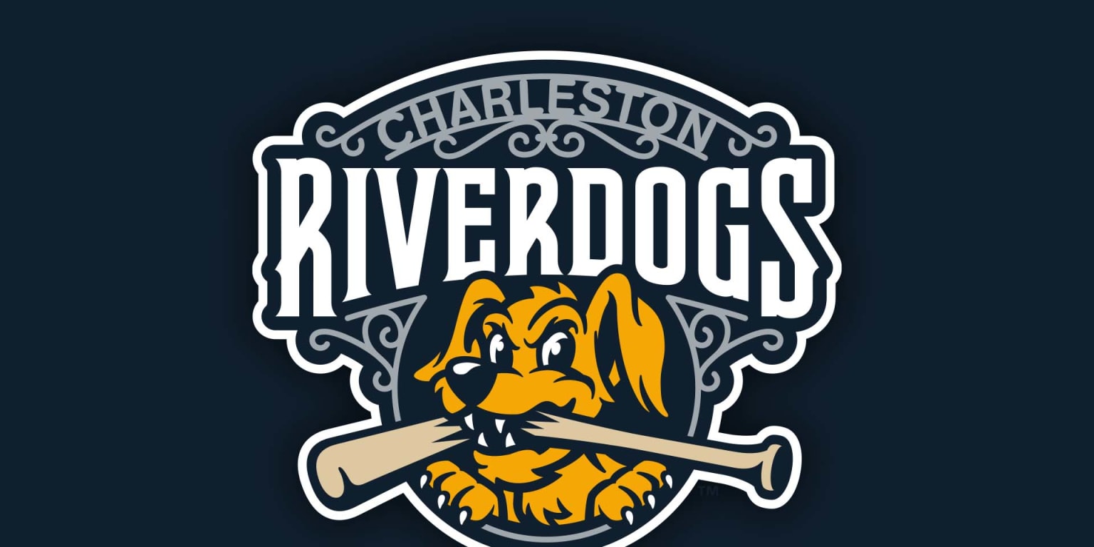 RiverDogs Named Small Business Of Year By Charleston Metro Chamber Of 