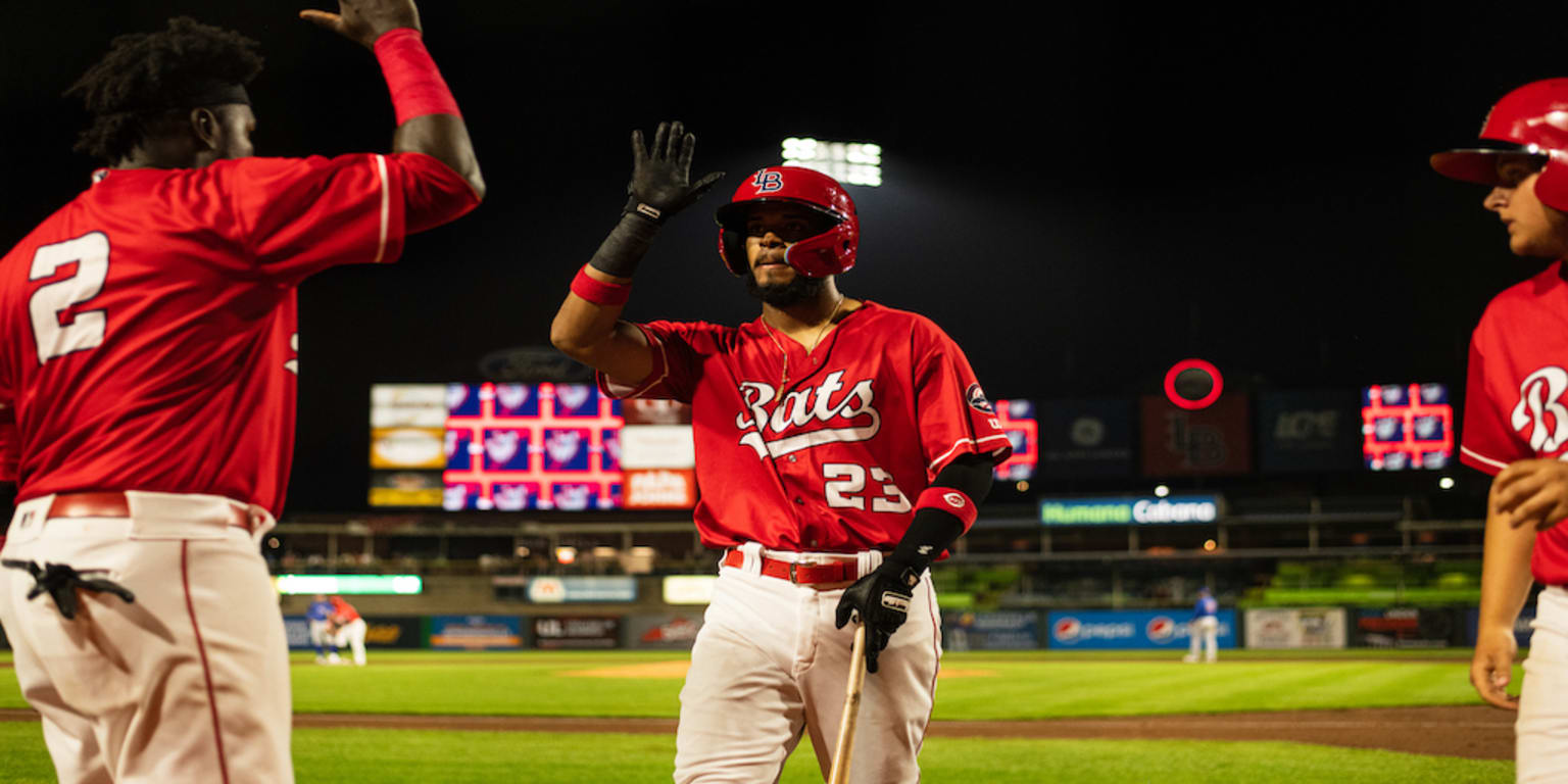 MiLB - Louisville Bats 2010