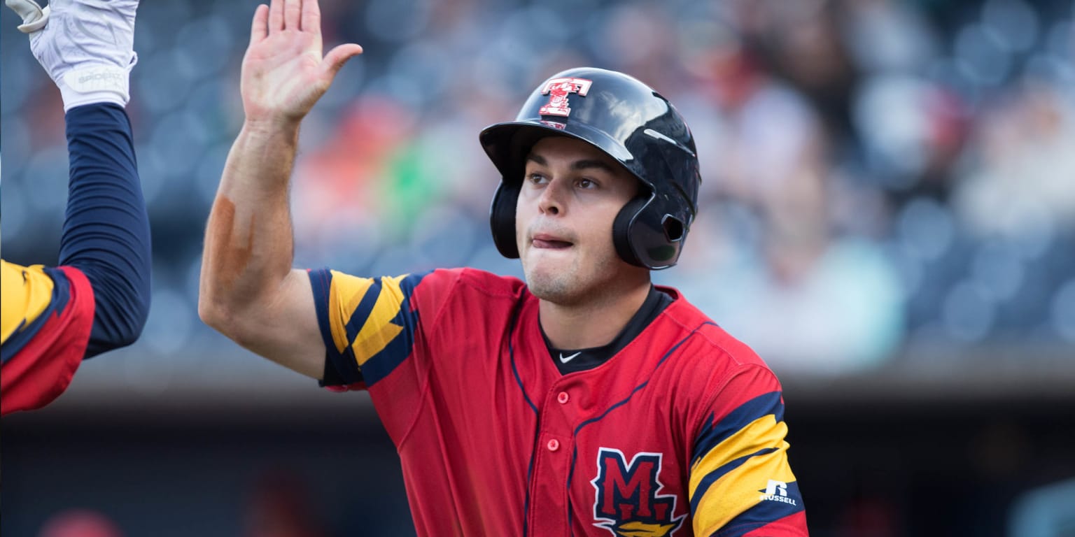 mud hens t shirt