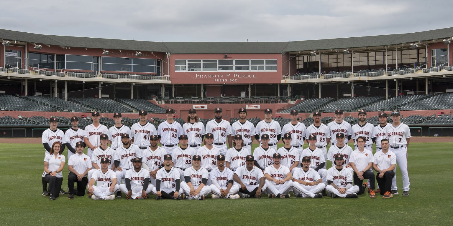 Orioles minor league recap 4/17: Aberdeen's Donta' Williams a home