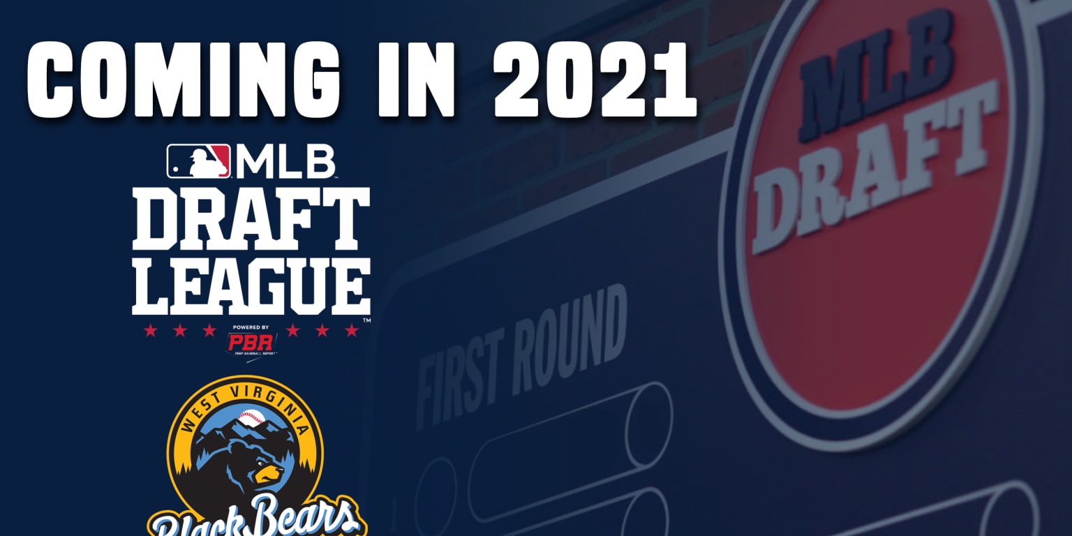 Black Bears join MLB Draft League MiLB