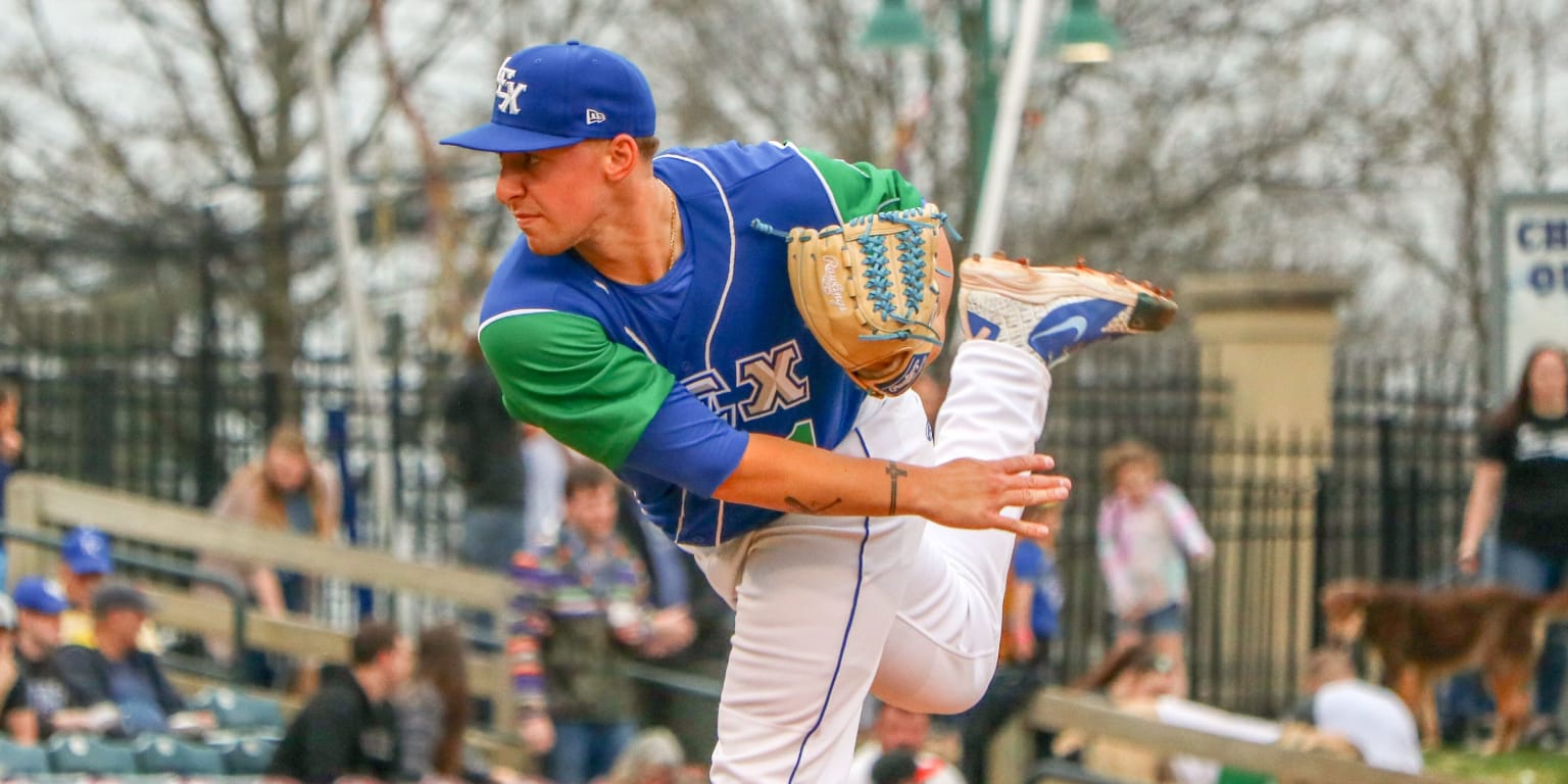 BarkInThePark - Kansas City Monarchs