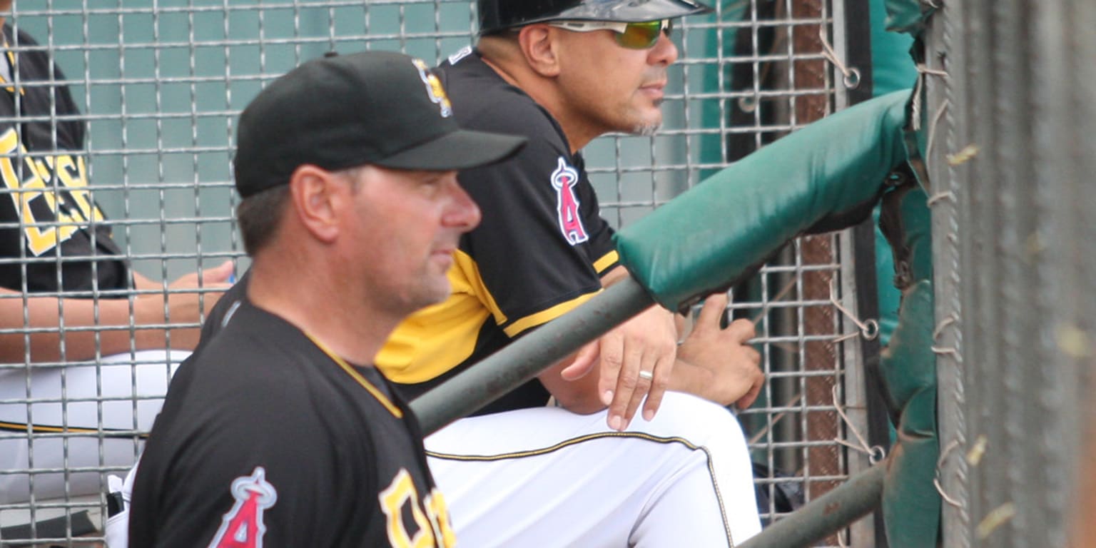 Salt Lake Bees 2018 Field Staff