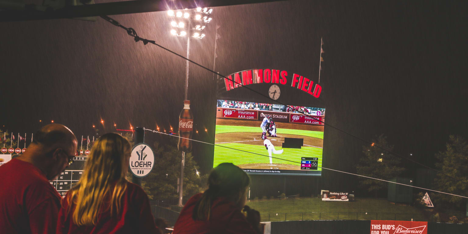 Springfield Cardinals: Canceled season is 'daunting