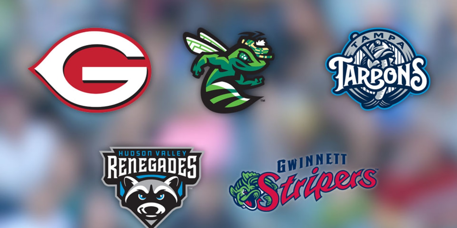 2017-18 Minor League Baseball rebranding roundup