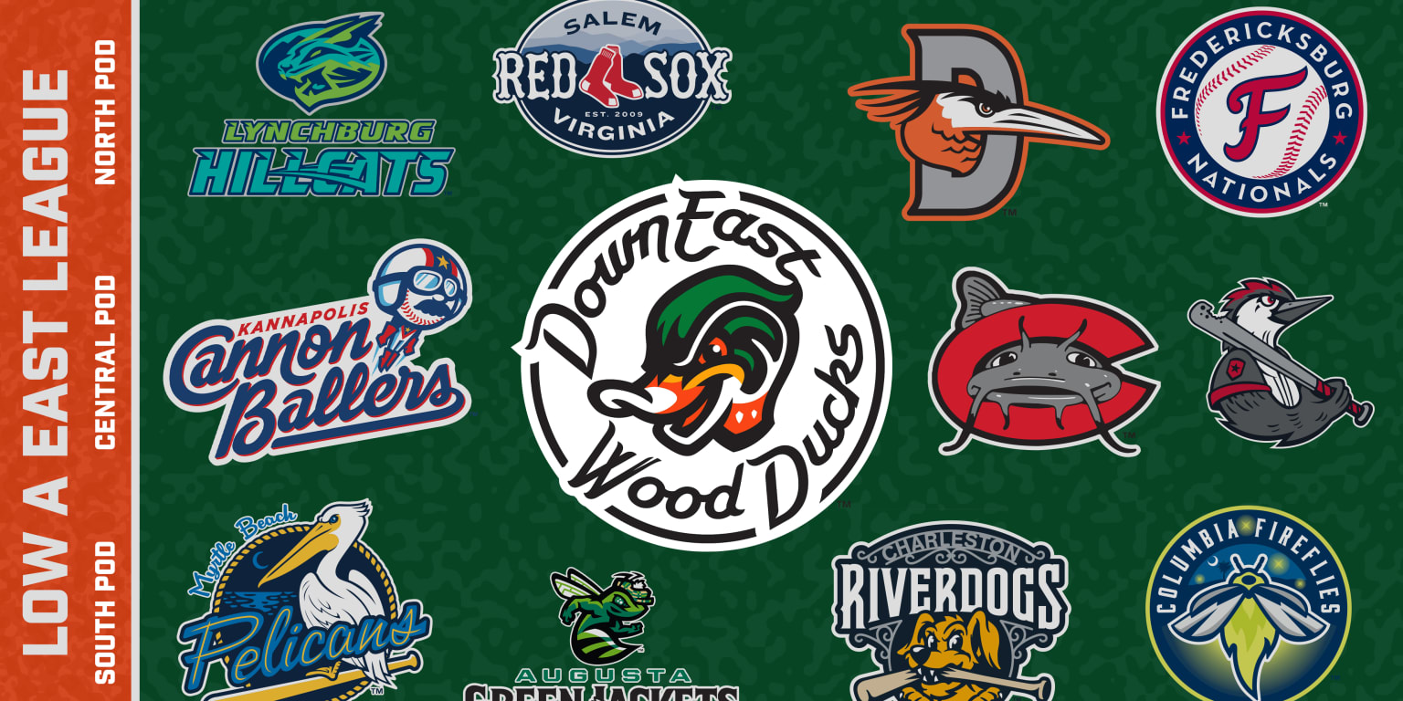 MLB Announces Minor League Baseball Teams Wood Ducks