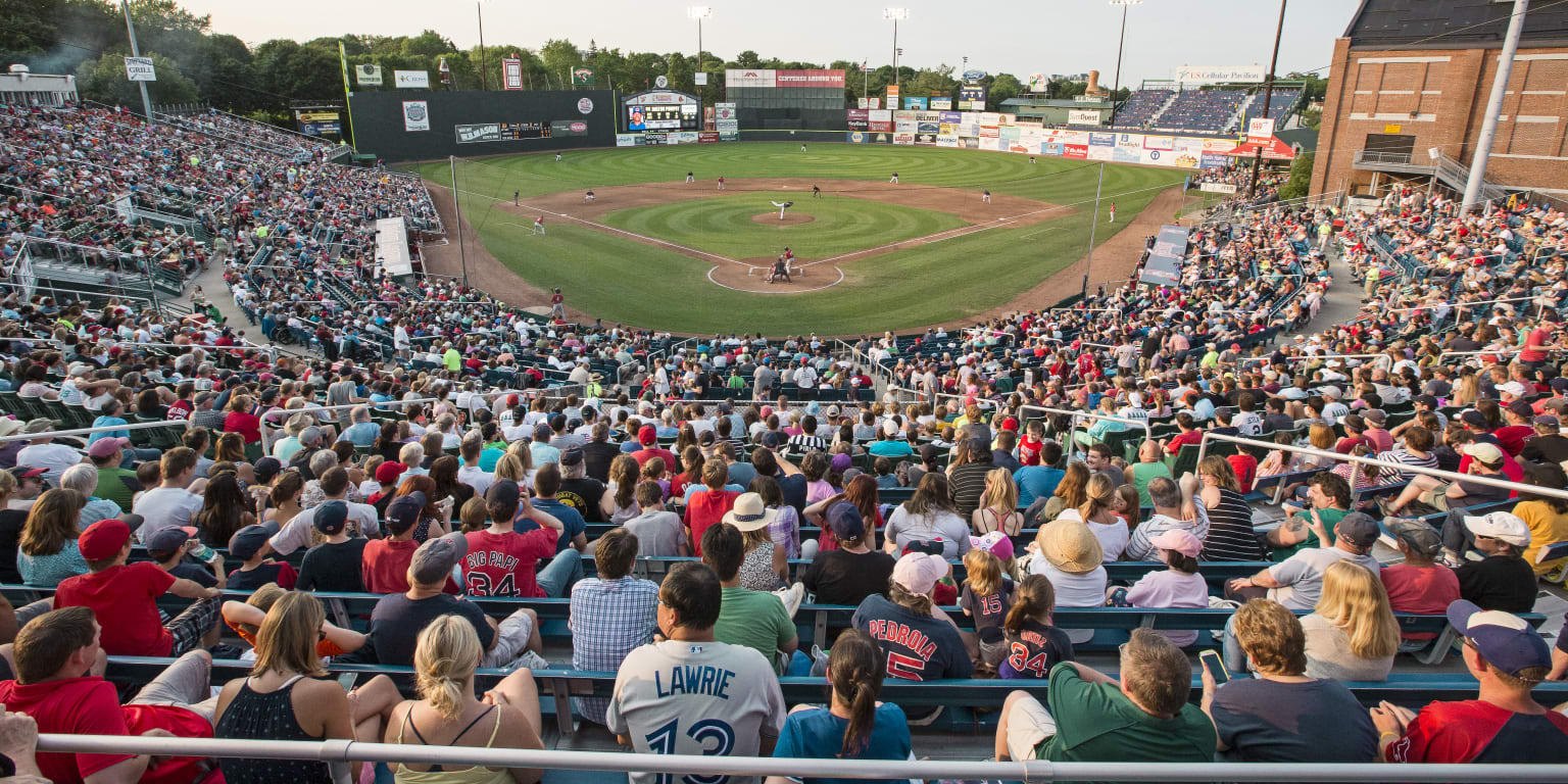 Portland Sea Dogs use three pitchers to complete no-hitter against New  Hampshire Fisher Cats - The Boston Globe