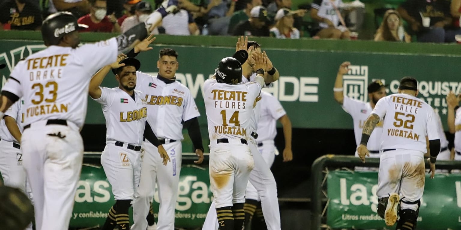 Leones: Se ponen a un paso del Bicampeonato de la Zona Sur | Mexican League