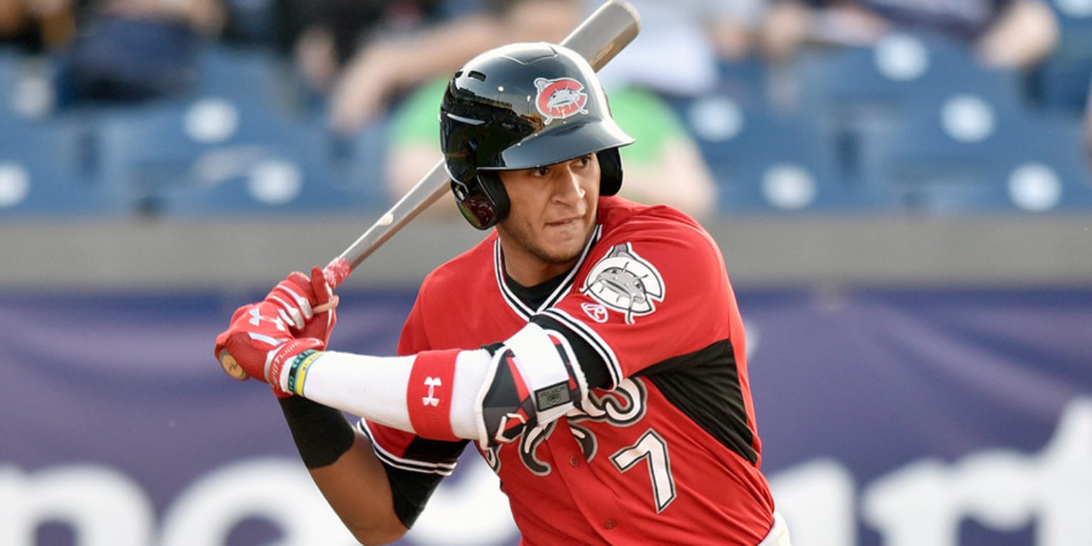 Jake Gatewood drives in six for Carolina Mudcats