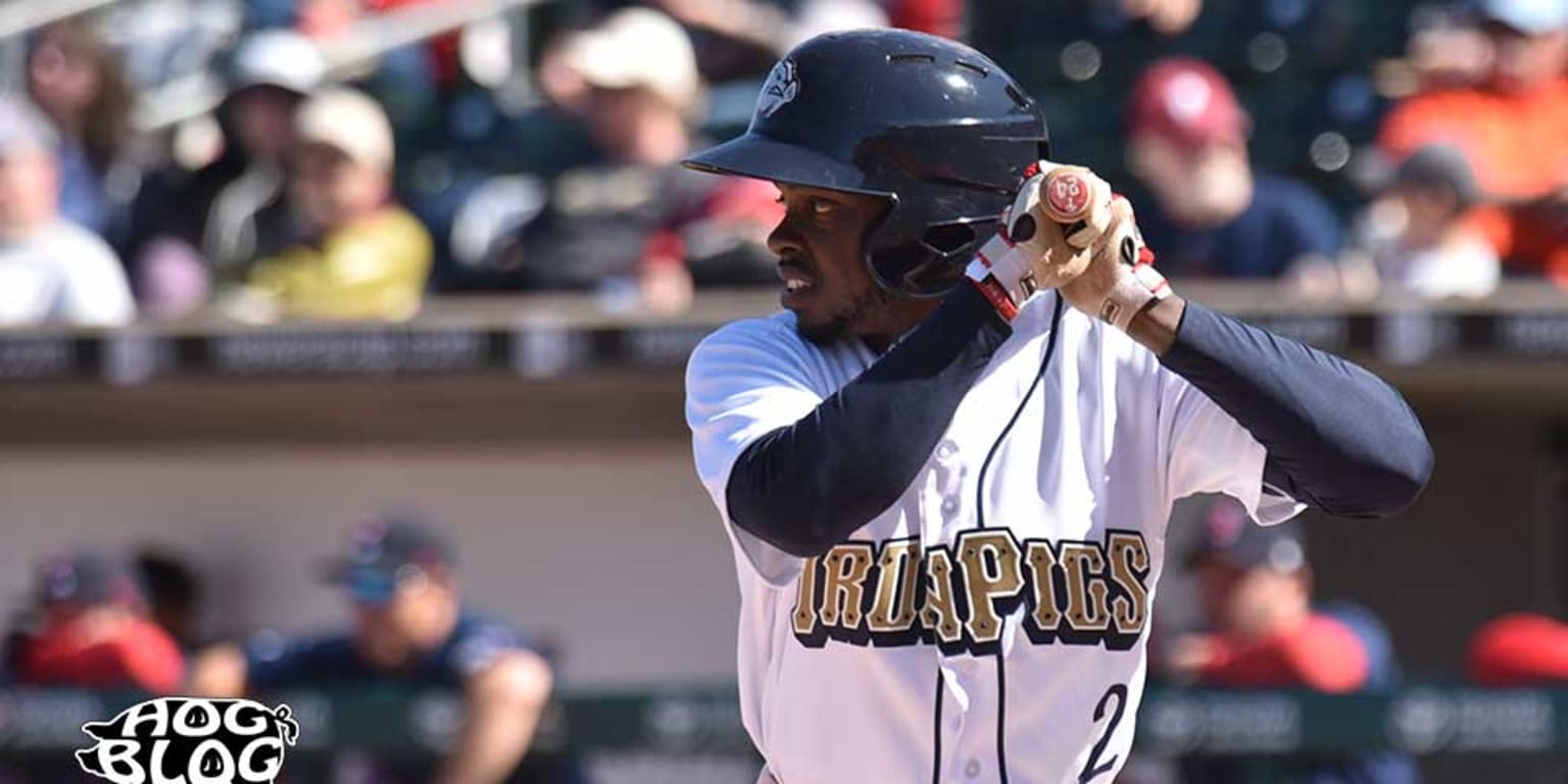 Official Blog of the Lehigh Valley IronPigs