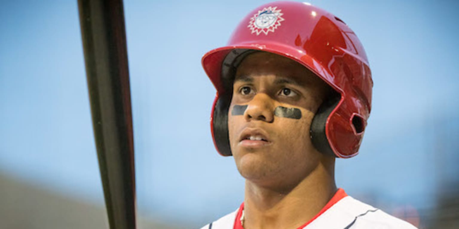 Nationals promote 19-year-old outfielder Juan Soto