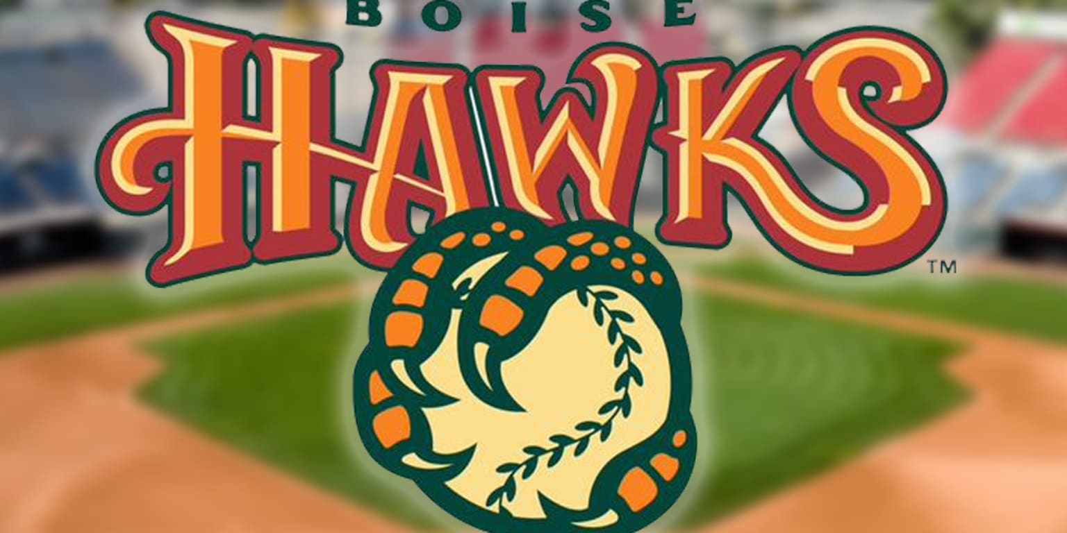 Boise Hawks Announce Partnership with 99.1 FM ESPN Boise | Hawks