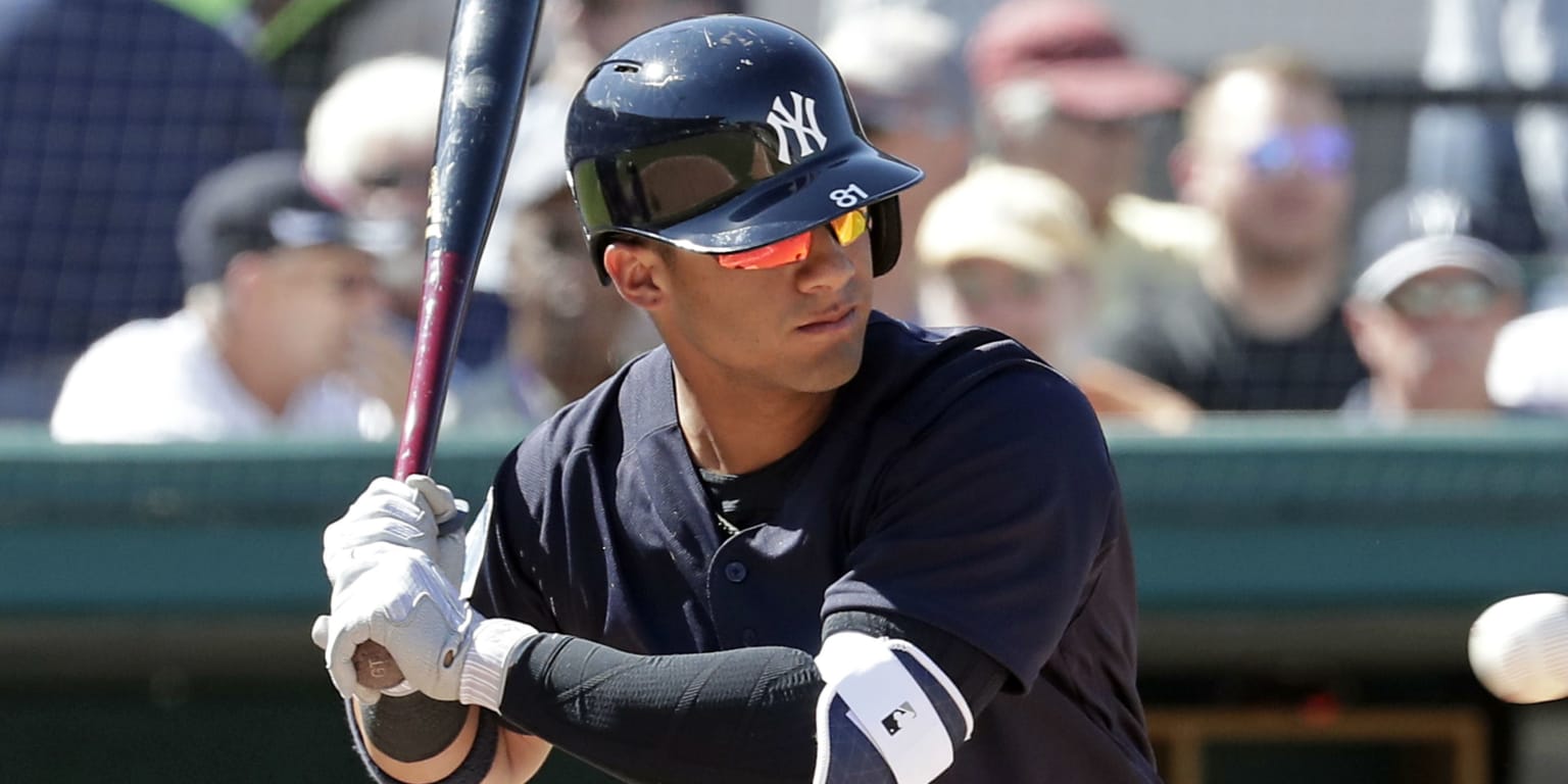 New York Yankees Prospect Gleyber Torres Collects Two Hits | MiLB.com