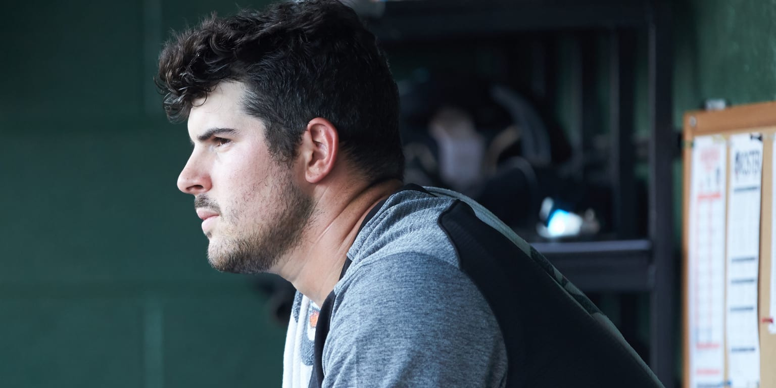 Chicago White Sox lefty Carlos Rodon struck in head by liner