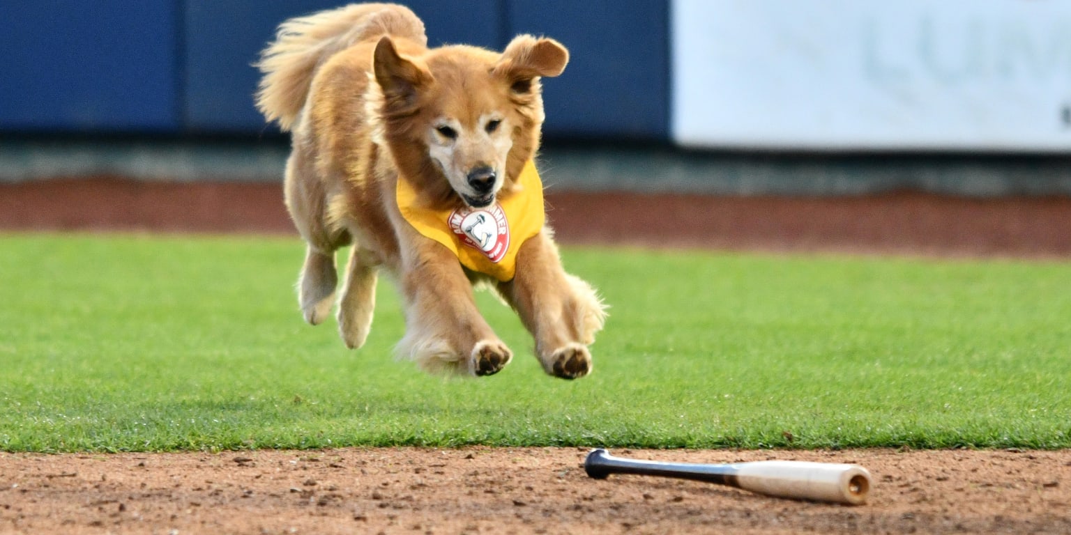 Zombro rejoins Durham Bulls