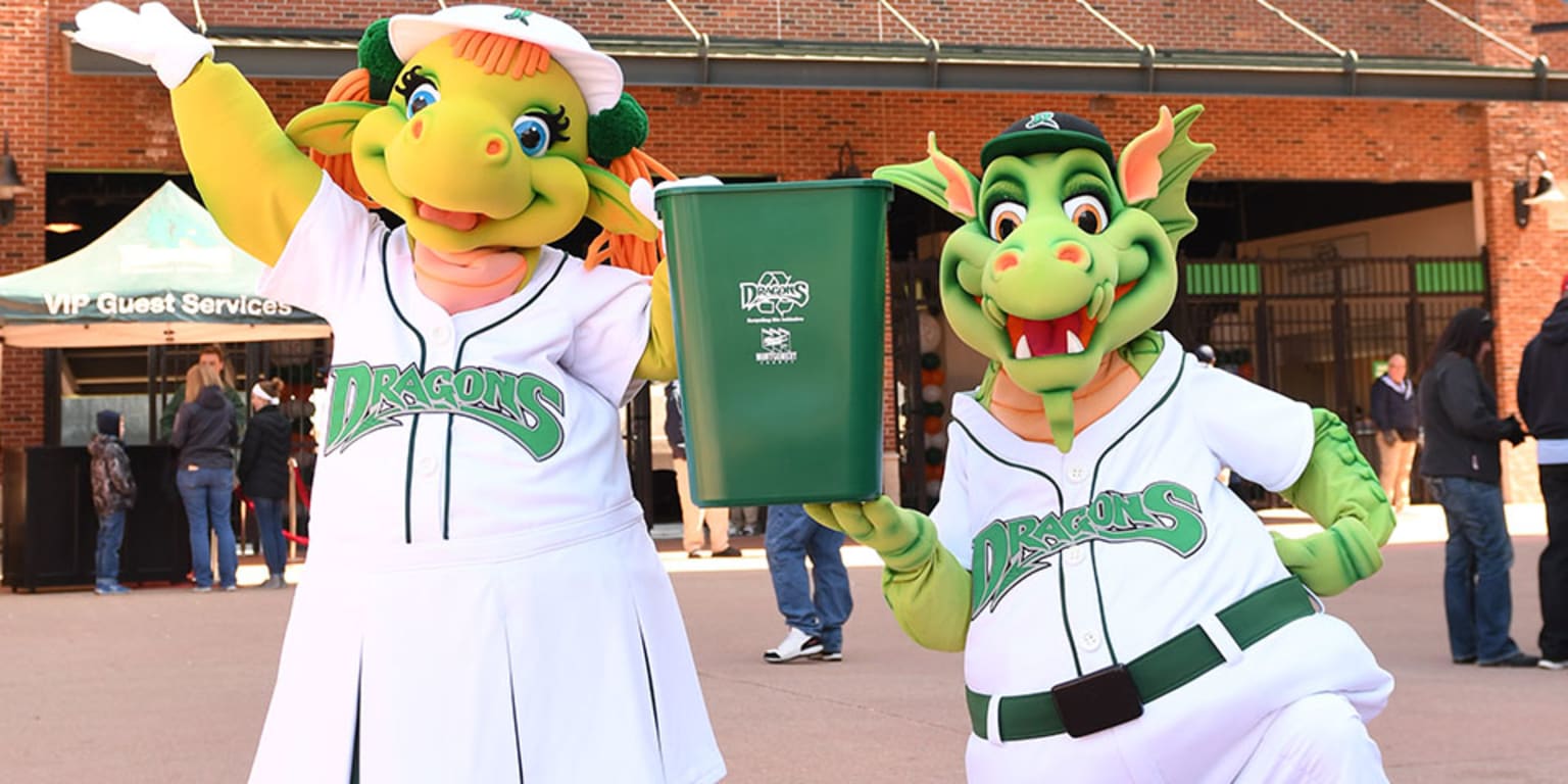 Heater S Recycling Bin Initiative Dragons