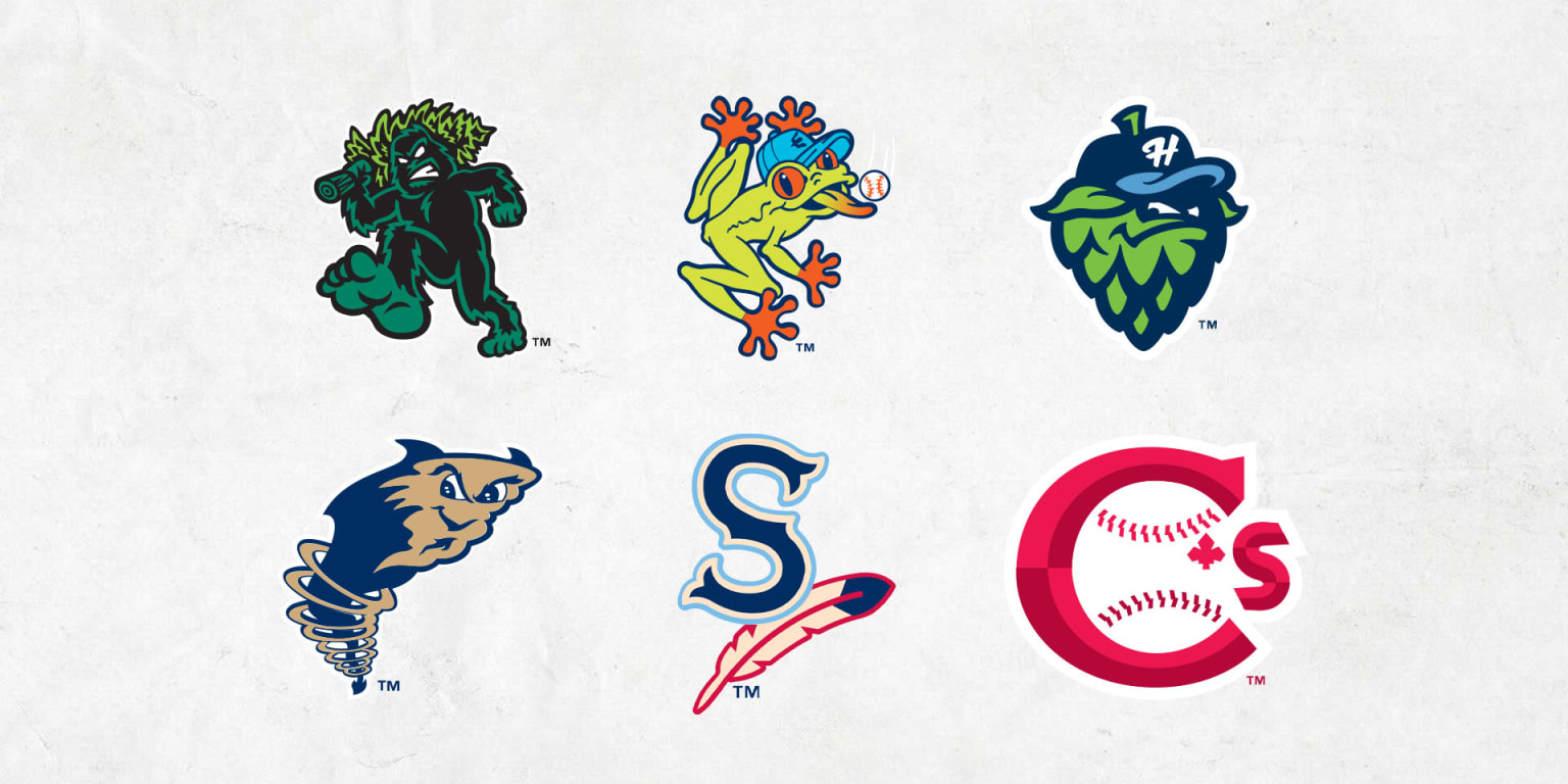 Minors Madness, the quest for the top team name in MiLB: The
