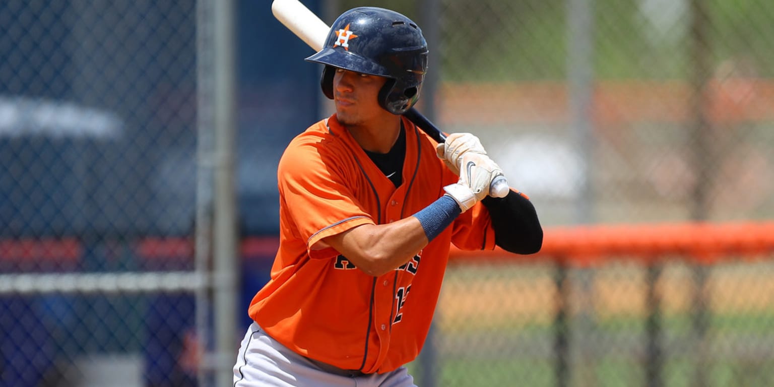 Houston Astros' Carlos Diaz among three players suspended Florida