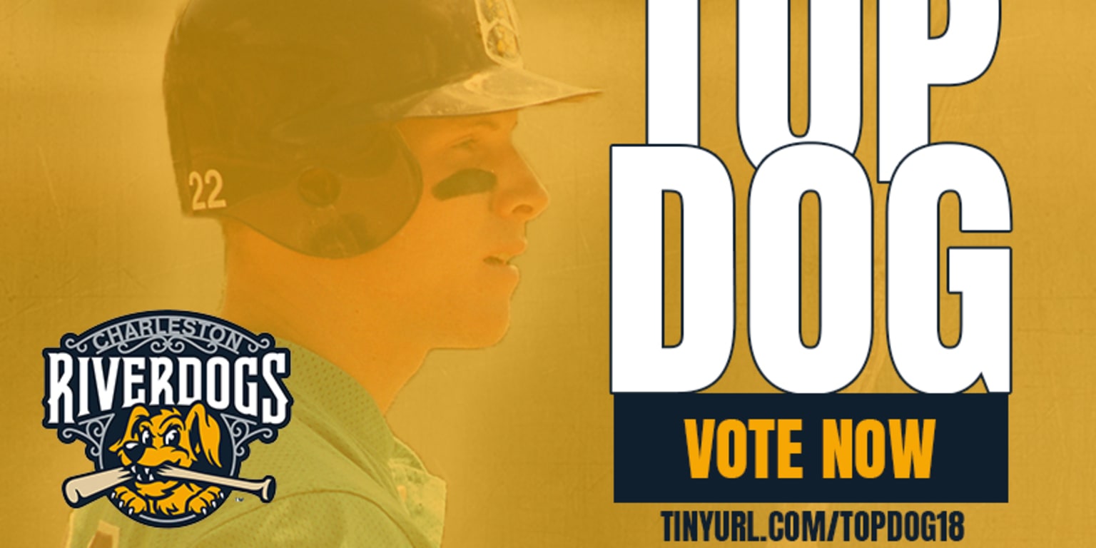 Finalists Chosen for Fans to Decide RiverDogs "Top Dog" in 2018