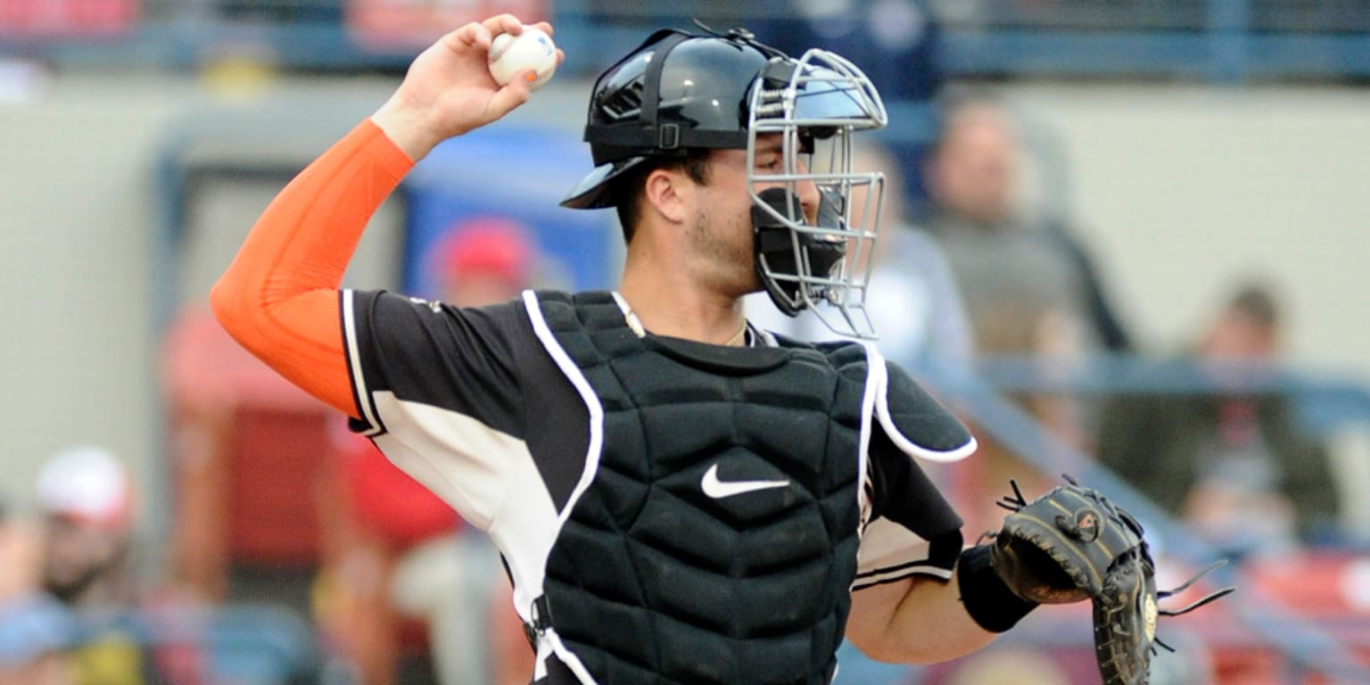 Young catchers face learning curve in Minor Leagues