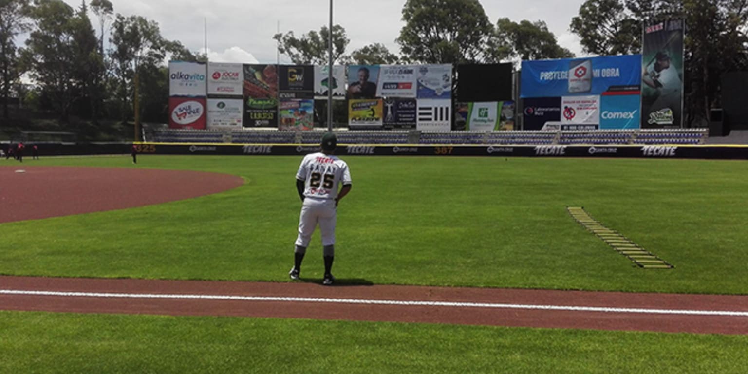 Pericos vence en casa a Lobos BUAP 