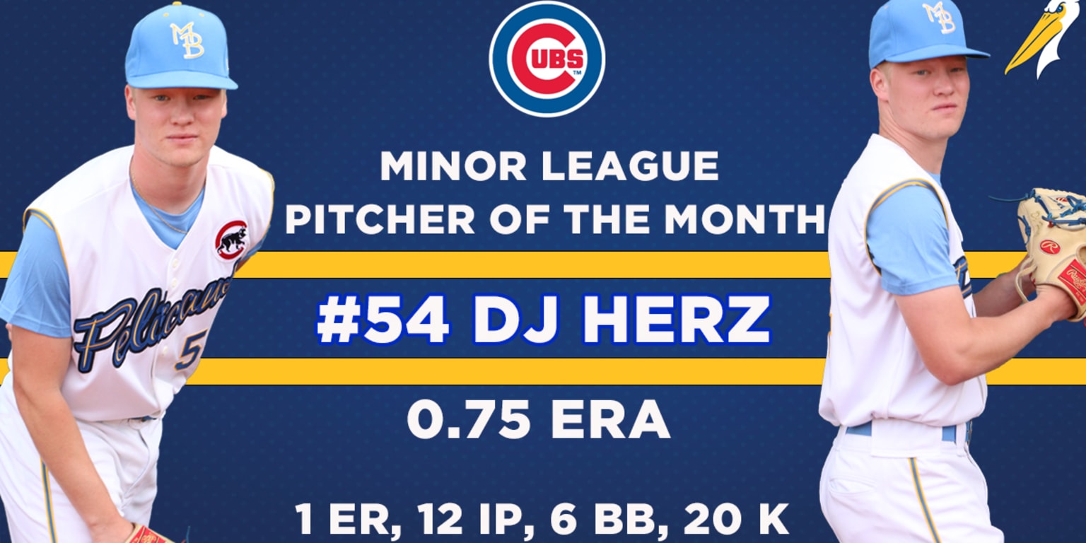 Cubs Name Herz Minor League Pitcher of the Month for May