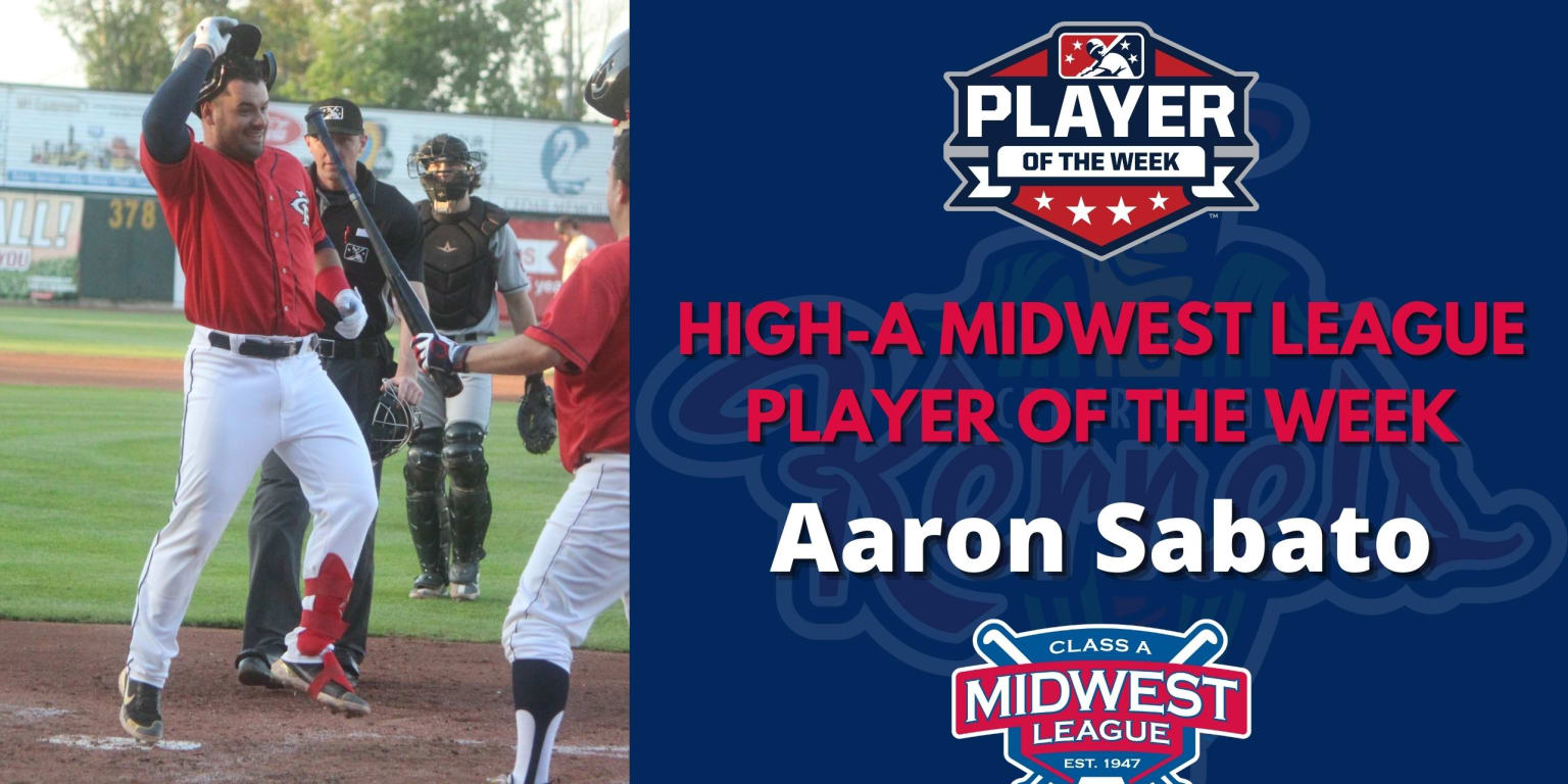 Aaron Sabato Named All-State in Baseball