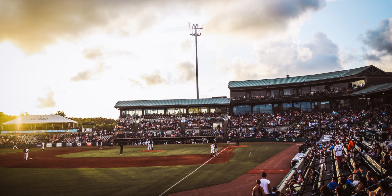 MiLB Baseball: Charleston RiverDogs Media Day